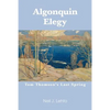 Algonquin Elegy: Tom Thomson's Last Spring - Paperback
