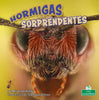 Hormigas Sorprendentes (Amazing Ants) - Paperback