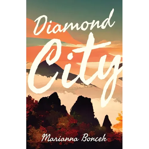 Diamond City - Paperback