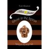 Ghost in the Spires: Being an old wives' tale - Hardcover