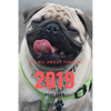 It;s All about the Pug: Pug Life - Paperback