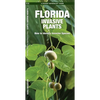 Florida Invasive Plants: How to Identify Invasive Species - Paperback