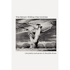 The Ravyn: Riding the Cyclone - Paperback