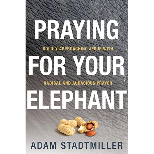 Praying for Your Elephant: Boldly Approaching Jesus with Radical and Audacious Prayer - Paperback