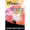 The Power of Divine Commissioning in Fulfilling a Vision - Paperback