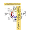 The Circle of Knowledge. - Hardcover