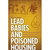 Lead Babies and Poisoned Housing: Environmental Injustice, Systemic Racism, and Governmental Failure - Hardcover