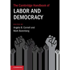 The Cambridge Handbook of Labor and Democracy - Paperback