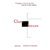 Class Issues: Pedagogy, Cultural Studies, and the Public Sphere - Paperback