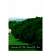 Catechism Of The Council Of Trent - Paperback