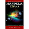 Mandela Effect: A Beginners Guide to the Rising Phenomenon (The Epic Conclusion to the Worldwide Phenomenon) - Paperback