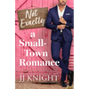 Not Exactly a Small-Town Romance - Paperback