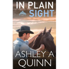 In Plain Sight - Paperback