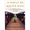 A Family No Matter What: The Journey to a Beautiful Divorce, Happy Children, and a Vibrant Life - Paperback