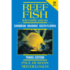 Reef Fish Identification - Travel Edition - 2nd Edition: Caribbean Bahamas South Florida - Paperback