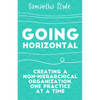 Going Horizontal: Creating a Non-Hierarchical Organization, One Practice at a Time - Paperback