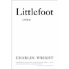 Littlefoot - Paperback