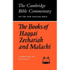The Books of Haggai Zechariah and Malachi - Paperback