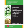 Continuous Process Improvement in Organizations Large and Small: A Guide for Leaders - Paperback