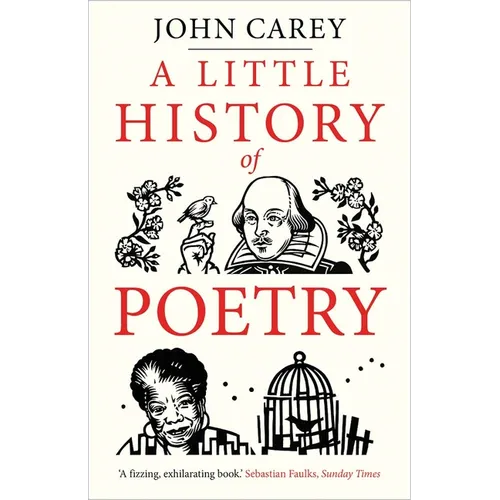 A Little History of Poetry - Paperback