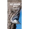 Delaware Birds: A Folding Pocket Guide to Familiar Species - Paperback