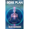 Soul Plan: Reconnect with Your True Life Purpose - Paperback