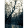 Travel Notes from the River Styx - Paperback