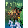 Birthright Volume 3: Allies and Enemies - Paperback