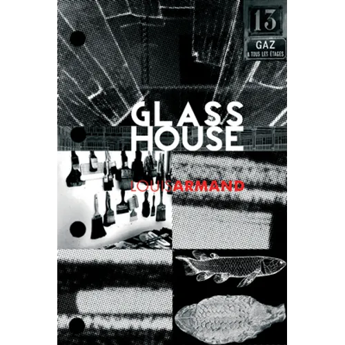 GlassHouse - Paperback
