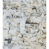 Mitch Epstein: Property Rights - Hardcover