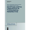 Egyptian-Coptic Linguistics in Typological Perspective - Paperback