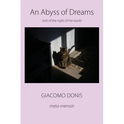 An Abyss of Dreams - Paperback
