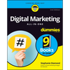 Digital Marketing All-In-One for Dummies - Paperback