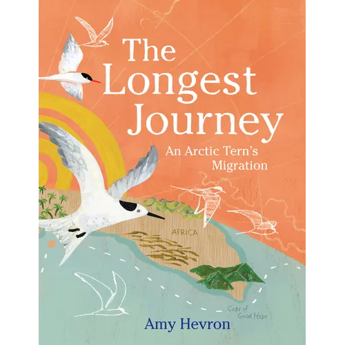 The Longest Journey: An Arctic Tern's Migration - Hardcover