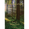 A Certain Slant of Light - Paperback