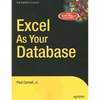 Excel as Your Database - Paperback