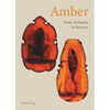 Amber: From Antiquity to Eternity - Hardcover