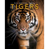 Tigers: Amazing Pictures & Fun Facts on Animals in Nature - Paperback