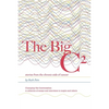 The Big C²: stories from the chronic side of cancer - Paperback