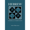 Hebrew for Biblical Interpretation - Paperback
