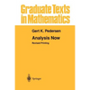 Analysis Now - Paperback
