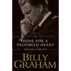 The Hope for the Troubled Heart: Finding God in the Midst of Pain - Paperback