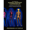 The Essential Human Anatomy Compendium: A Comprehensive and Concise Study Guide for Success in Introductory Anatomy Courses - Paperback