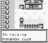 Pokemon Breeders Repro Gameboy Game Cart