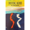 Driving Blind - Hardcover
