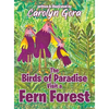 The Birds of Paradise Visit a Fern Forest - Hardcover