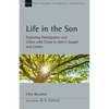 Life in the Son: Exploring Participation and Union with Christ in John's Gospel and Letters Volume 61 - Paperback