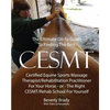 The Ultimate Go-To Guide To Finding The Best CESMT: Certified Equine Sports Massage Therapist/Rehabilitation Practitioner For Your Horse ? Or The Righ - Paperback