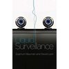 Liquid Surveillance: A Conversation - Paperback
