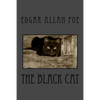 The Black Cat - Paperback